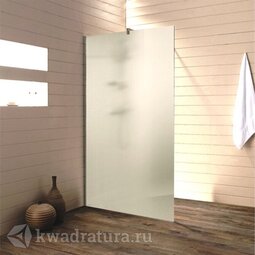 Душевая перегородка Ticino TL800.1 (матовая) 80 см