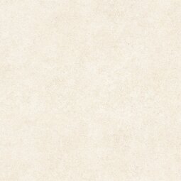 Керамогранит Alma Ceramica Amsterdam GFU6060ADM04R 60*60 см