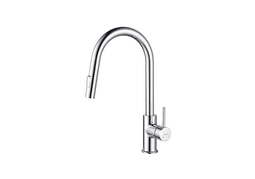 Смеситель для кухни с вытяжным изливом 2 jet Aquatek Европа AQ1384CR