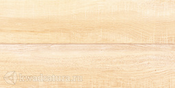 Настенная плитка AltaCera Briole WT9BRE11 24,9*50 см