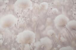 Обои флизелиновые Палитра 1.06 м PL72543-22