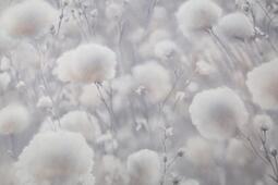 Обои флизелиновые Палитра 1.06 м PL72543-41