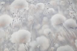 Обои флизелиновые Палитра 1.06 м PL72543-42