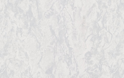 Обои виниловые HomeColor 0.53 м  HC11067-14a