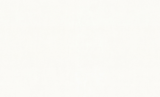 Обои флизелиновые VOG Collection 1,06 м VV72232-11