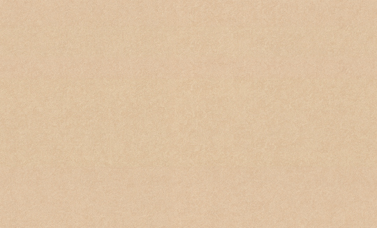 Обои флизелиновые VOG Collection 1,06 м VV72232-29