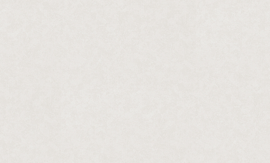Обои флизелиновые VOG Collection 1,06 м VV72261-12