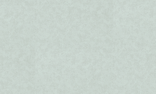 Обои флизелиновые VOG Collection 1,06 м VV72261-17