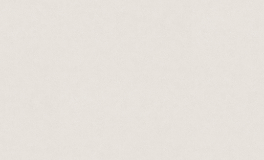 Обои флизелиновые VOG Collection 1,06 м VV72261-25